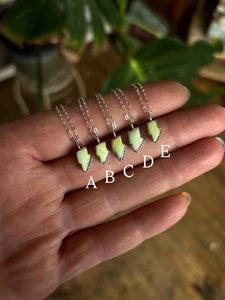 Palomino Mini Bolts