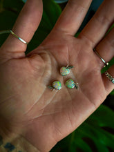 Load image into Gallery viewer, Opal Peaches

